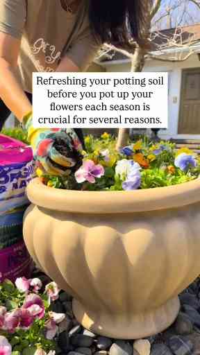 Refresh Container Soil – Prep Your Garden for Spring