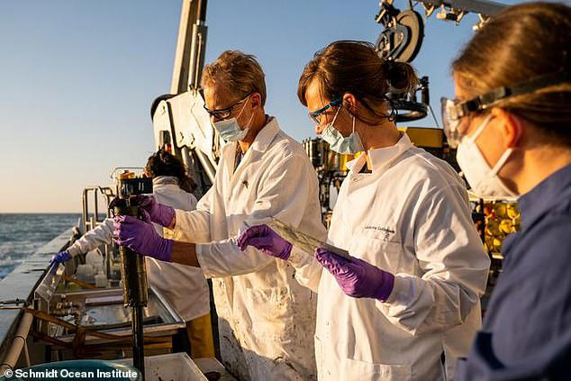 Scientists analysing the substances say that it is 'shocking' that the pollutants are still effecting biodiversity on the sea floor over 50 years after the barrels were dumped 