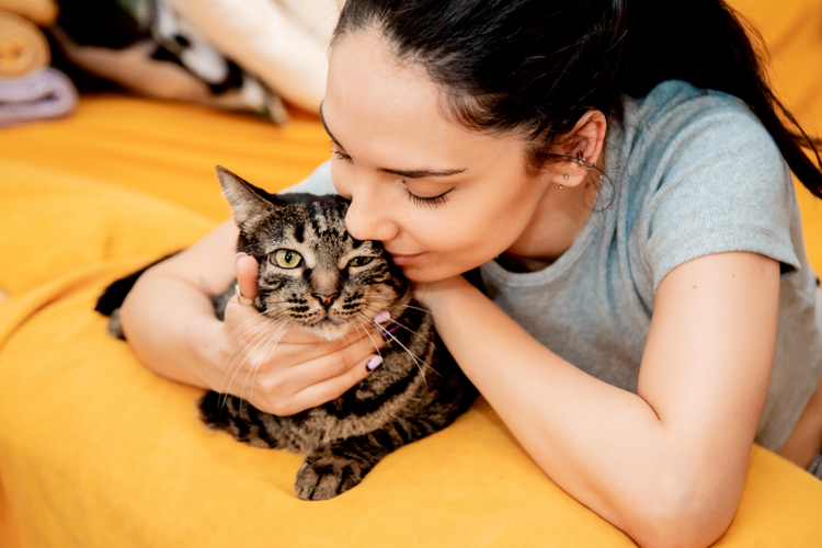 Mengapa Manusia Suka Kucing? Ini Fakta Ilmiah dan Manfaatnya untuk Kesehatan