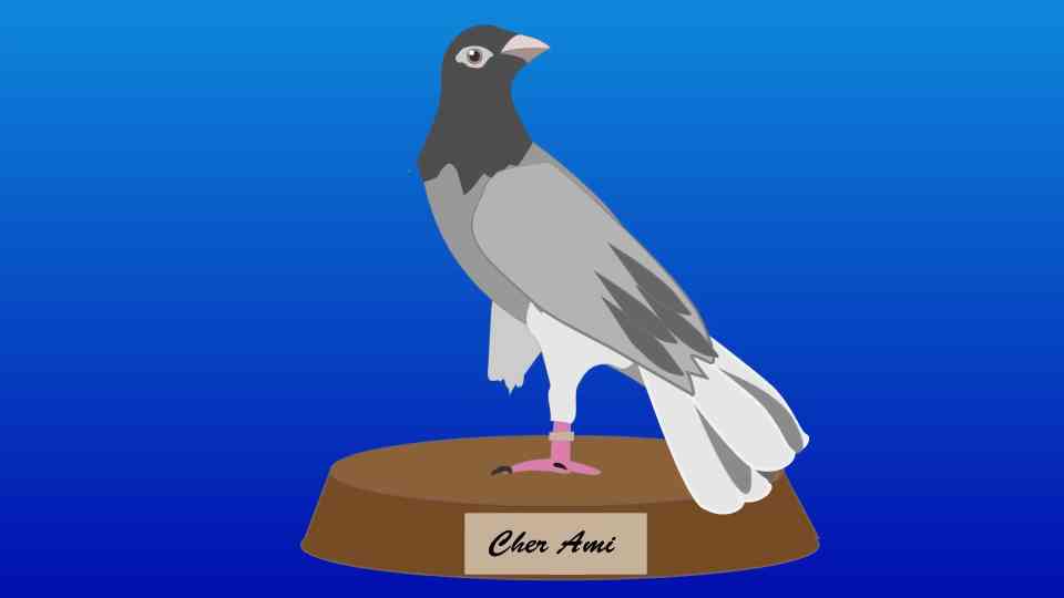 Wwi S Feathered Messengers The Secret Role Of Carrier Pigeons