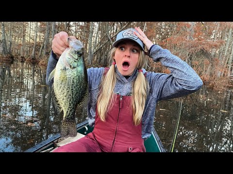 Wild swamp fishing for massive slab crappie