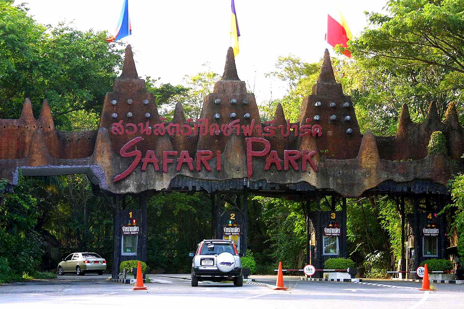 Zookeeper Killed by Pack of Lions in Front of Horrified Tourists Reports