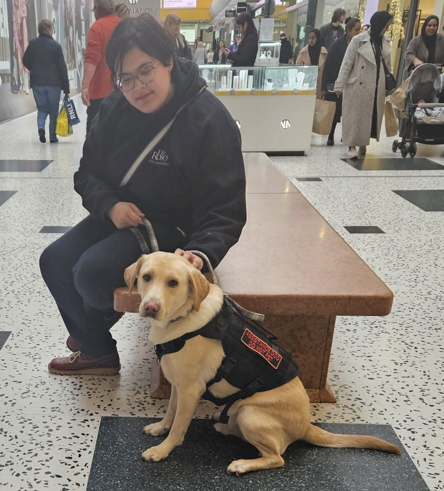Disabled student “constantly refused” entry to shops with assistance dog