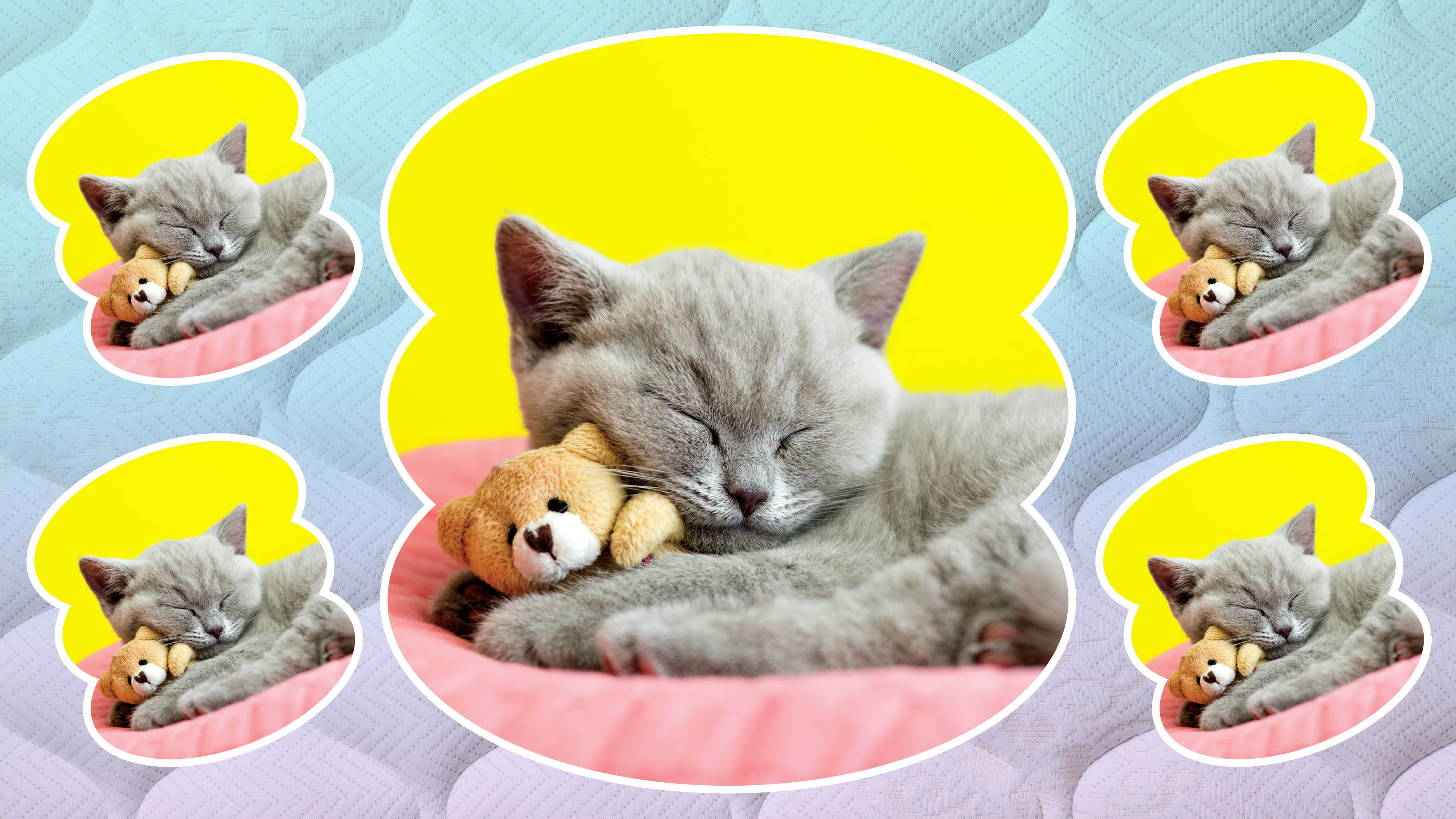 your-wearable-might-be-ruining-your-sleep