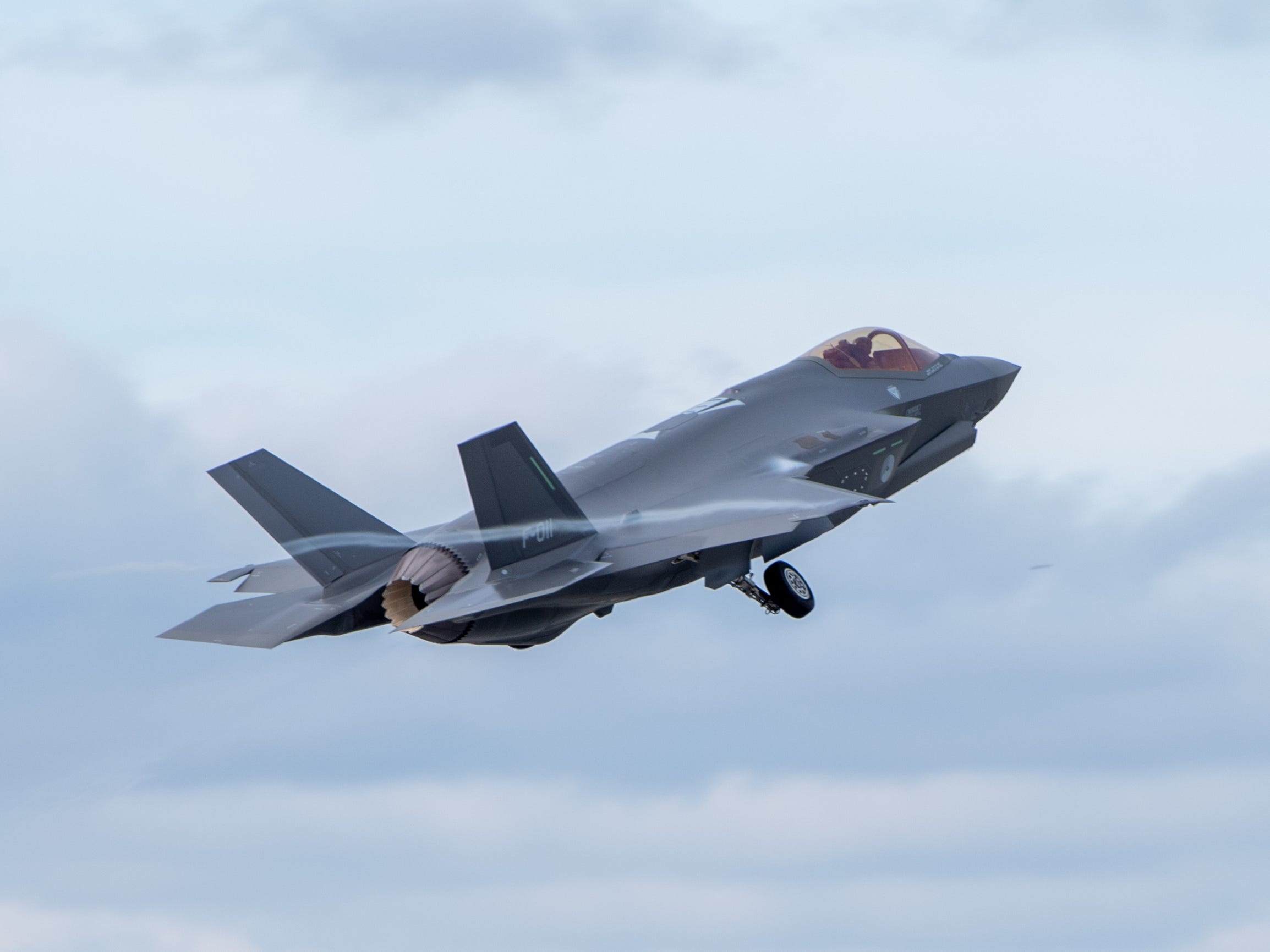 The F35 stealth fighters that shot down Russian drones were just days