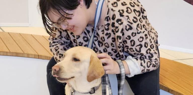 Disabled student “constantly refused” entry to shops with assistance dog