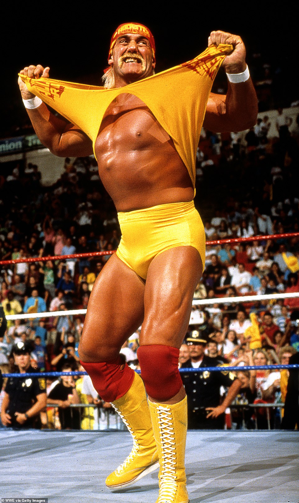 Report: Hulk Hogan's will revealed