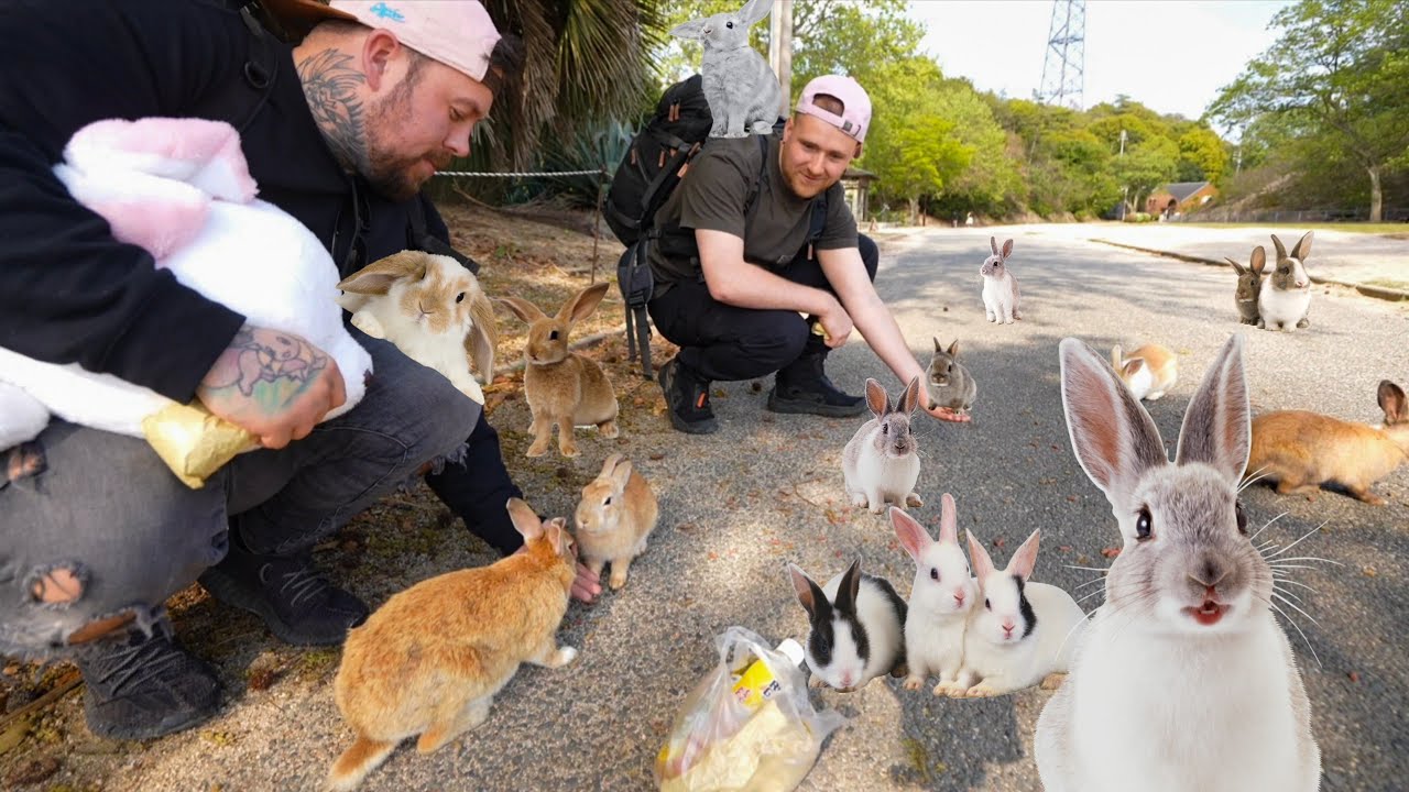 I explored a mysterious rabbit island in Japan 🐰