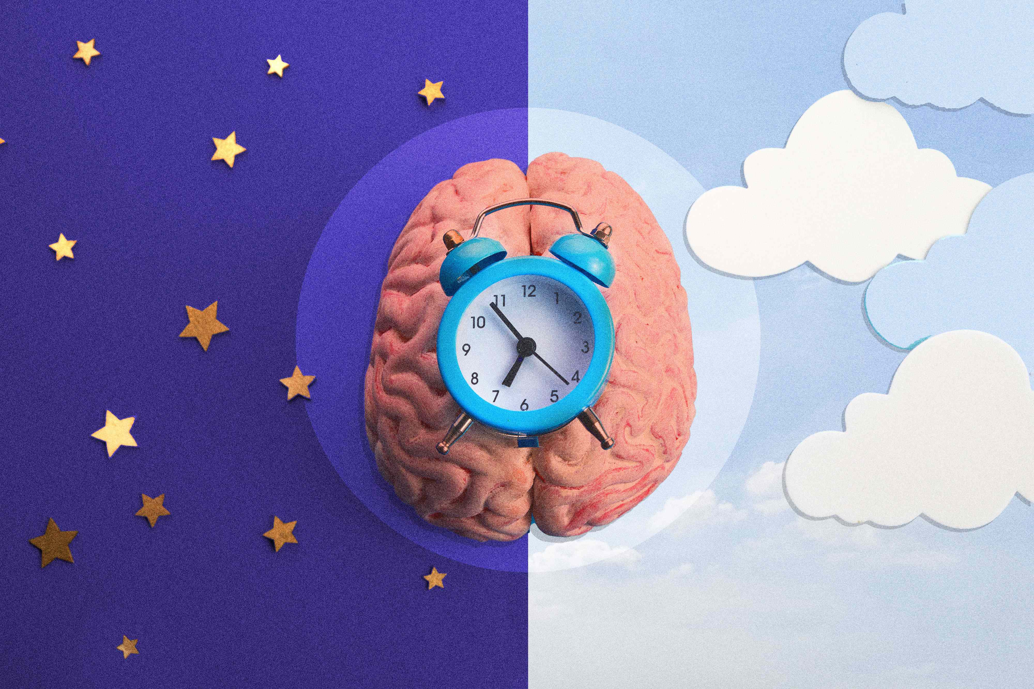 What's My Sleep Chronotype?