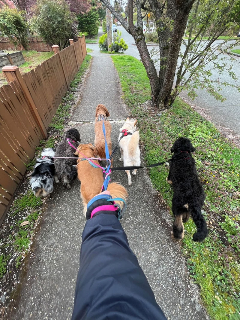 Mutmaßliche Texts zwischen Tyler Robinson und seinem Mitbewohner vom