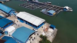 5 Pulau di Riau Jadi Kampung Nelayan, Serap Ribuan Tenaga Kerja