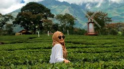 Gila! 5 Wisata Edukasi Agro Jatim 2025 untuk Liburan Seru dan Betah!