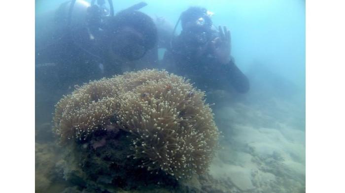 Jejak Pemburu Harta Karun dan Anak Penebus Dosa di Laut Karawang