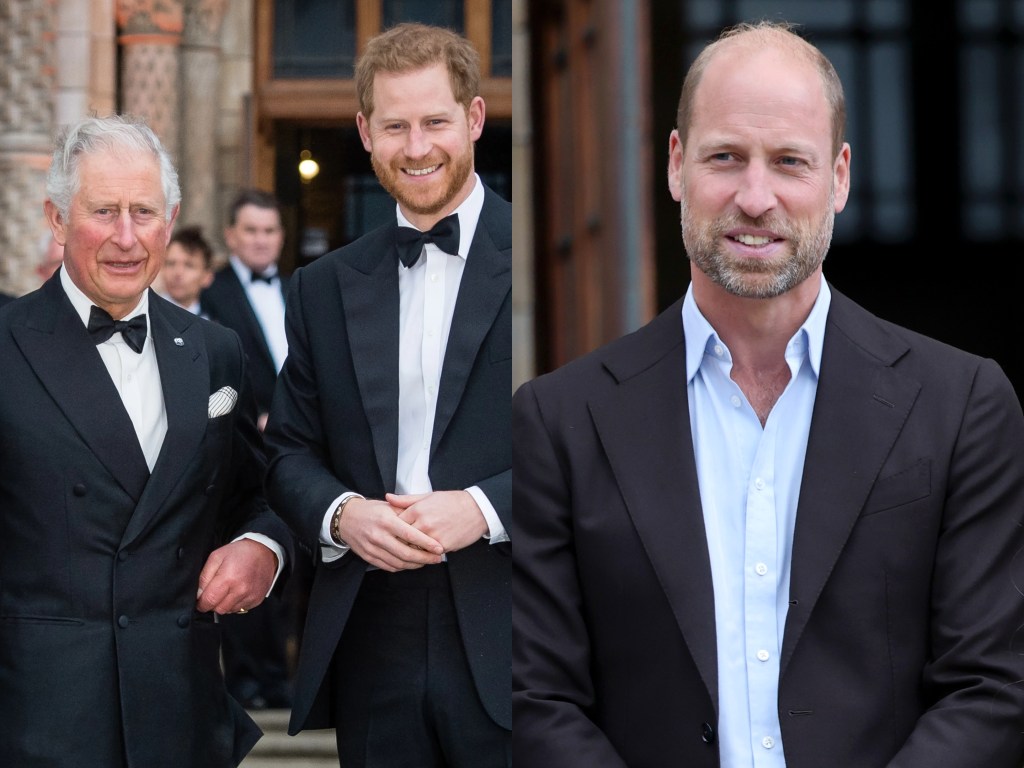 A Royal Fortune: 10+ Surprising Details About Prince Harry’s  : Financial Reports Net Worth 2026: Career Earnings & Assets