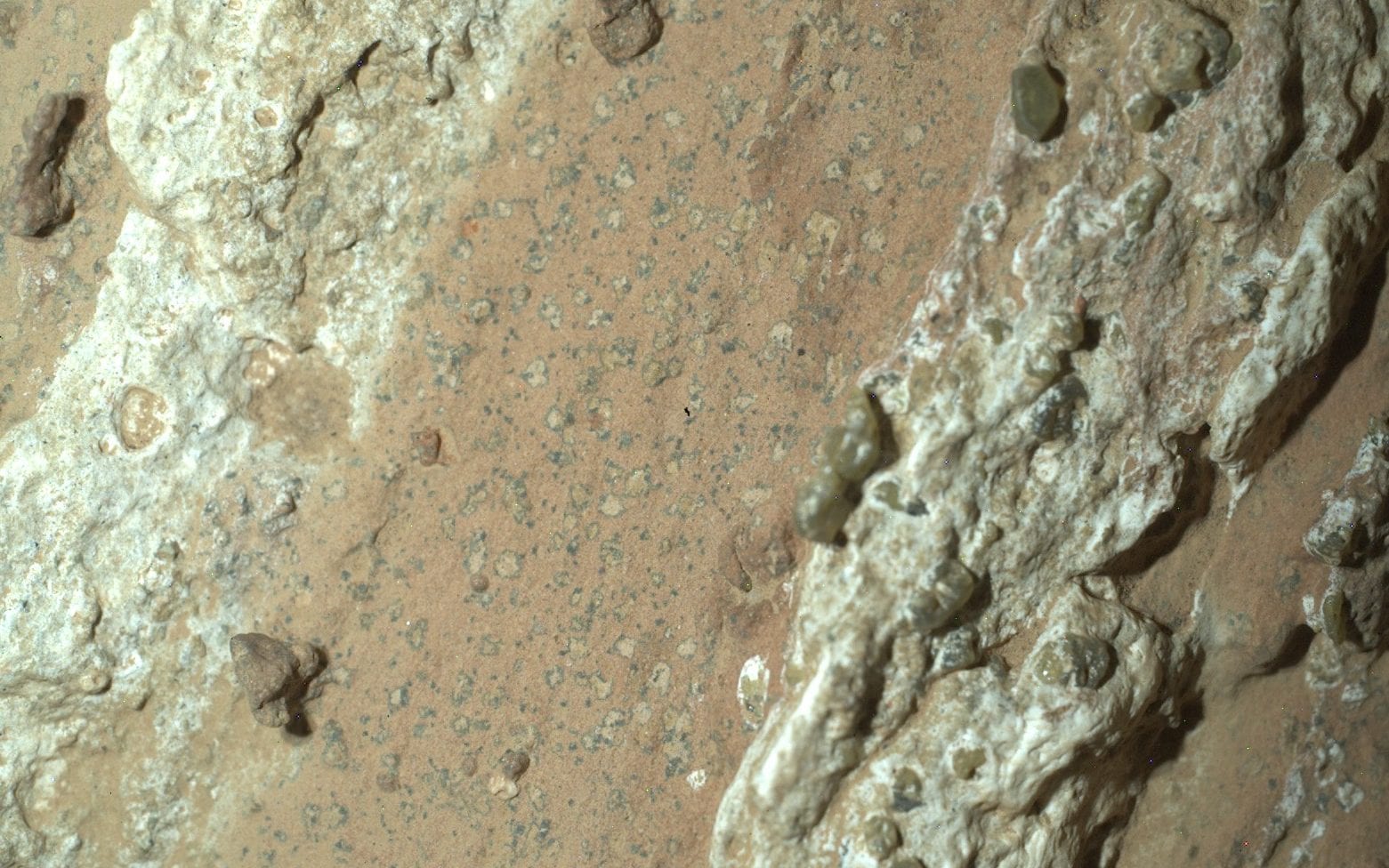 A Nasa photo released on Wednesday shows an image taken by the Perseverance Rover of 'leopard spots' on a reddish rock in Cheyava Falls