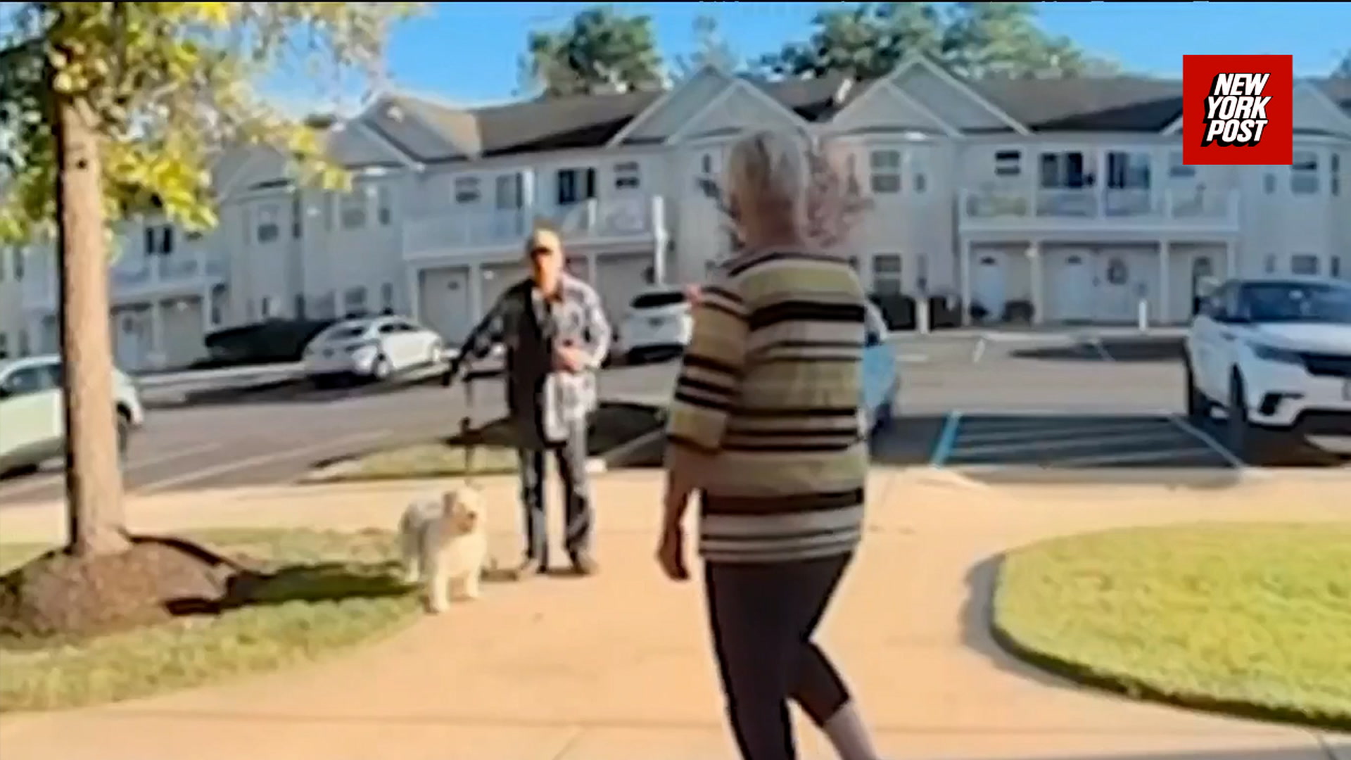 Elderly woman shoots man in the face with flare gun in gated Long