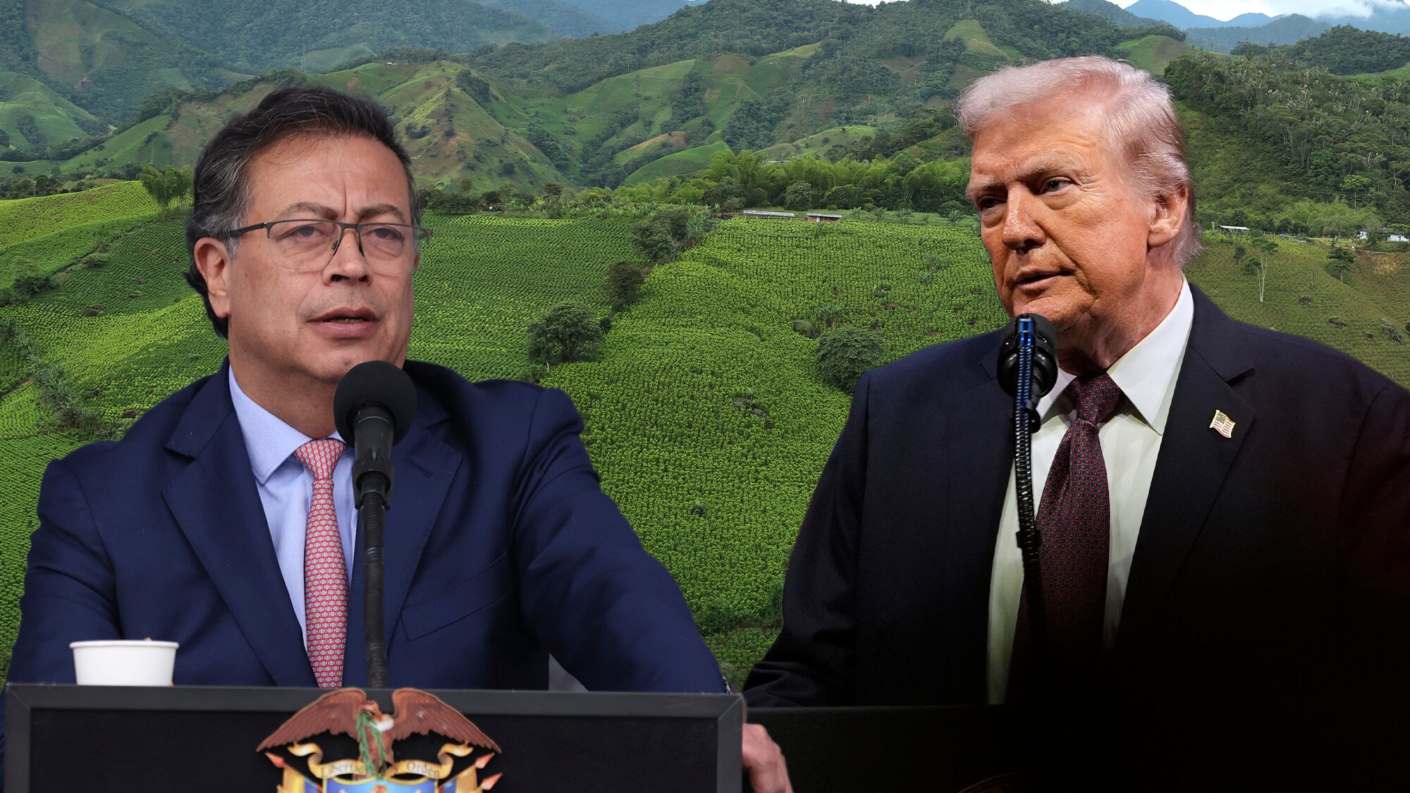 Donald Trump y Gustavo Petro han tenido 'roces' por los cultivos de coca.