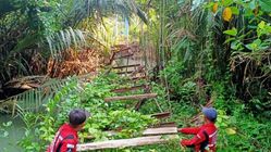 Membangun Harapan di Atas Sungai, Gubernur Lampung Gerakkan Gotong Royong Perbaiki Jembatan Viral Ta