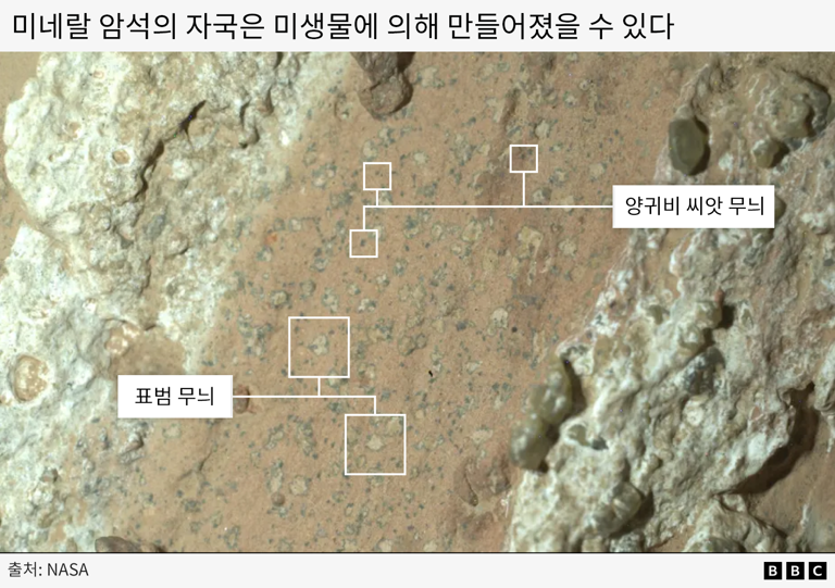 화성에 생명체 흔적? '표범 무늬' 암석에서 발견된 증거들