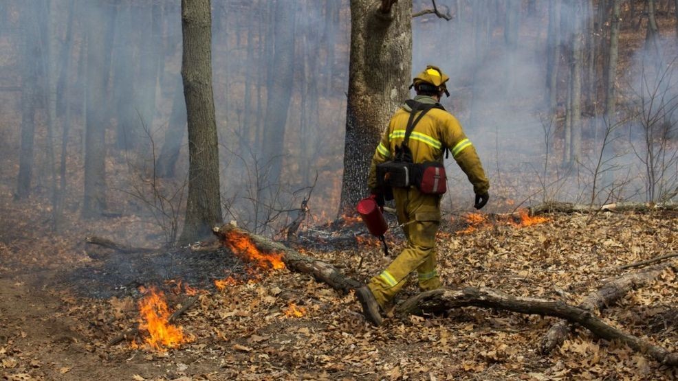 Prescribed burn in Montmorency County to fight invasive species ...