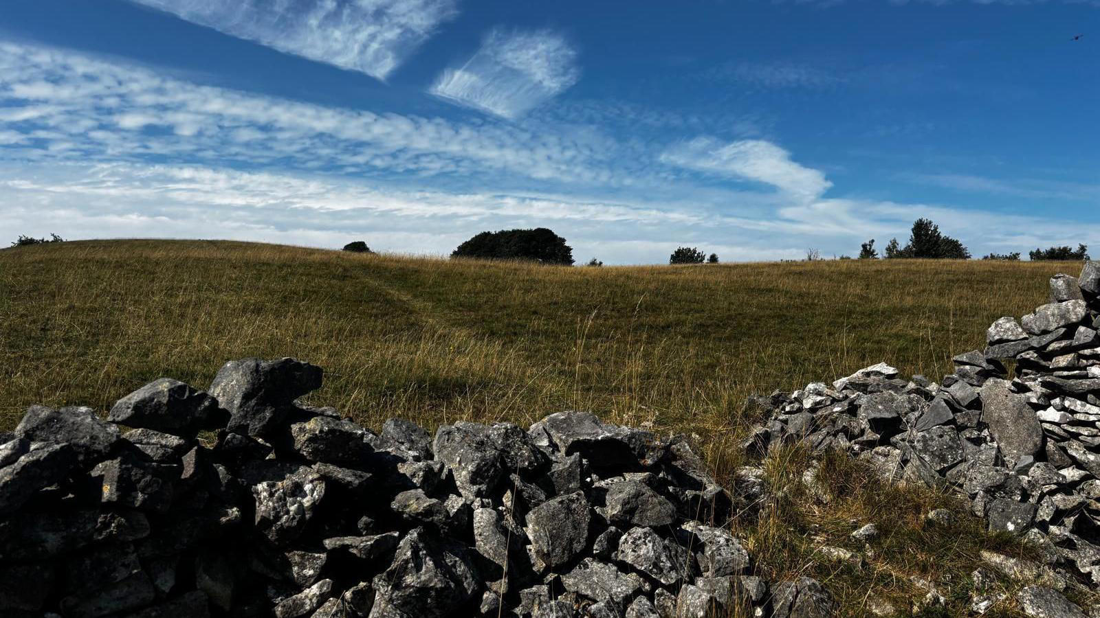 Fundraising push to create new nature reserve Fundraising push to create new nature reserve