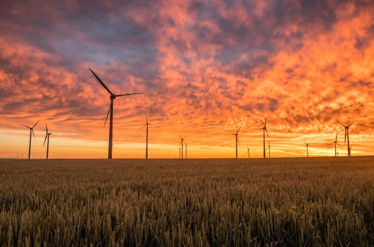 Être payé pour consommer de l’électricité : la promesse folle de Frank ...