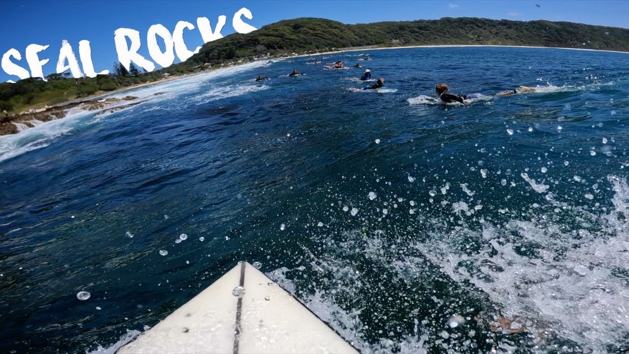 Riding Waves at Seal Rocks, Australia