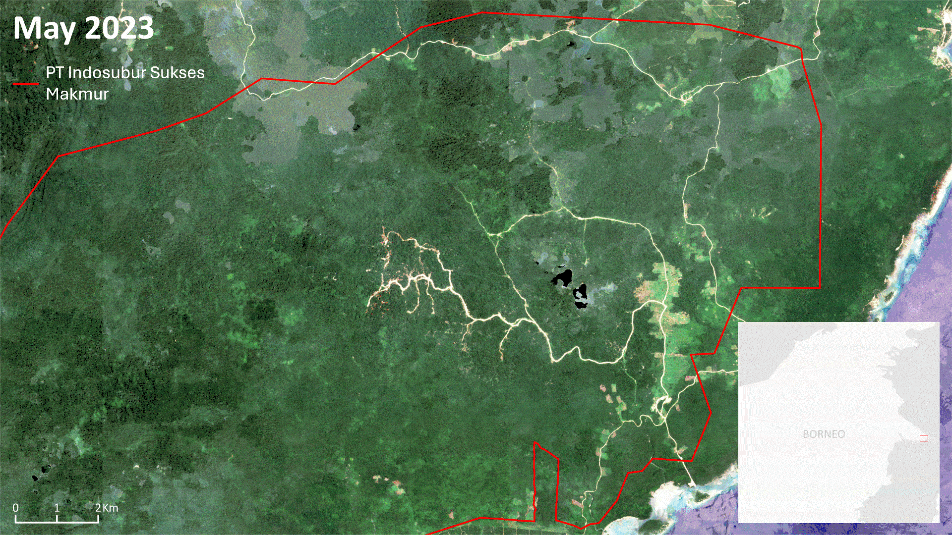 Americans\u2019 love of RVs tied to destruction of orangutan habitat ...