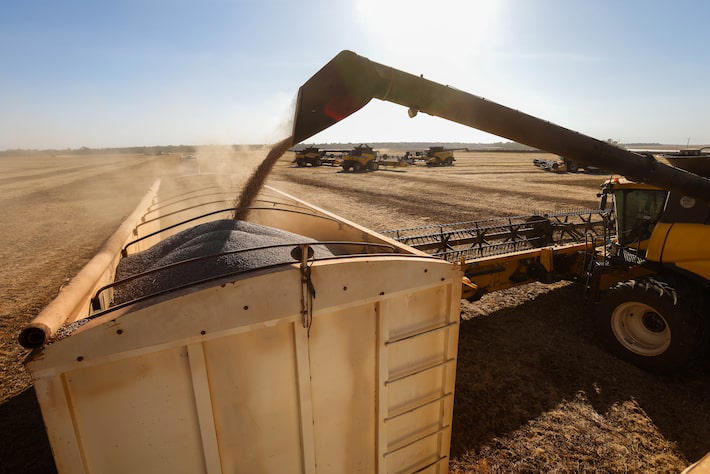 soja manteve a liderança em termos de valor gerado em 2024, segundo o IBGE Foto: Tiago Queiroz/Estadão