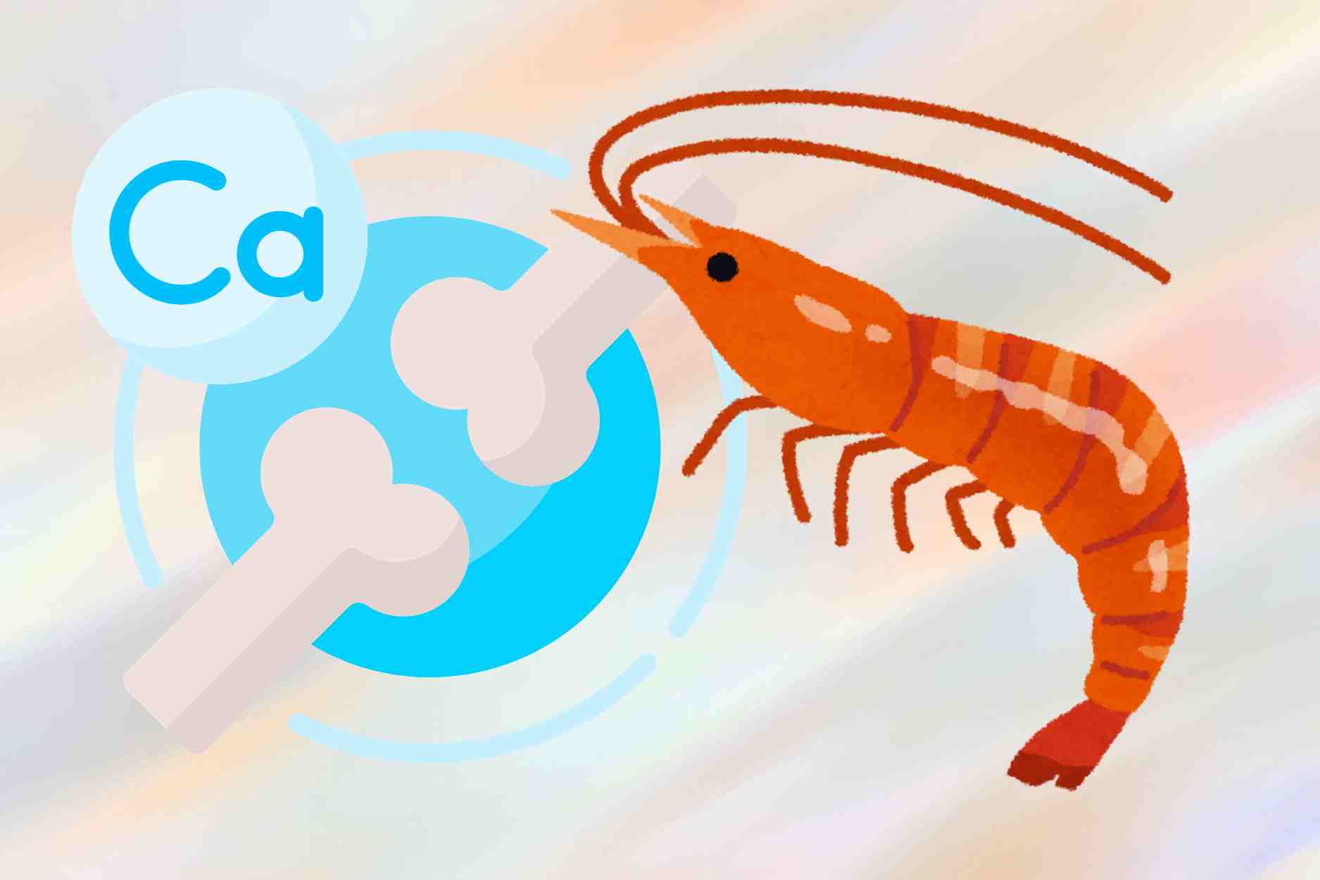 Mách bạn cách bổ sung canxi hiệu quả từ món tép quen thuộc