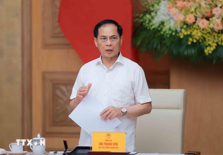 Phó Thủ tướng Bùi Thanh Sơn phát biểu. (Ảnh: An Đăng/TTXVN)