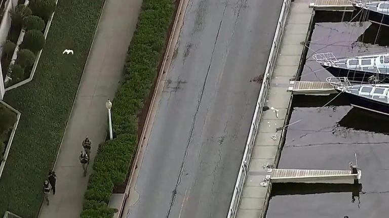 El tirador fue un agente que fue expulsado de la academia.