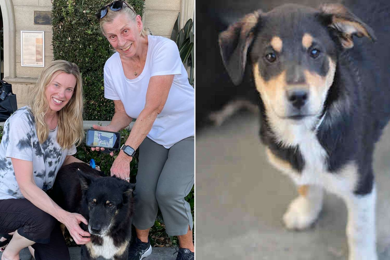 Serendipitous Social Media Moment Leads Family to Adopt Senior Sister