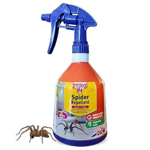 Experts have revealed the 1 place spiders love to hide in your home ...