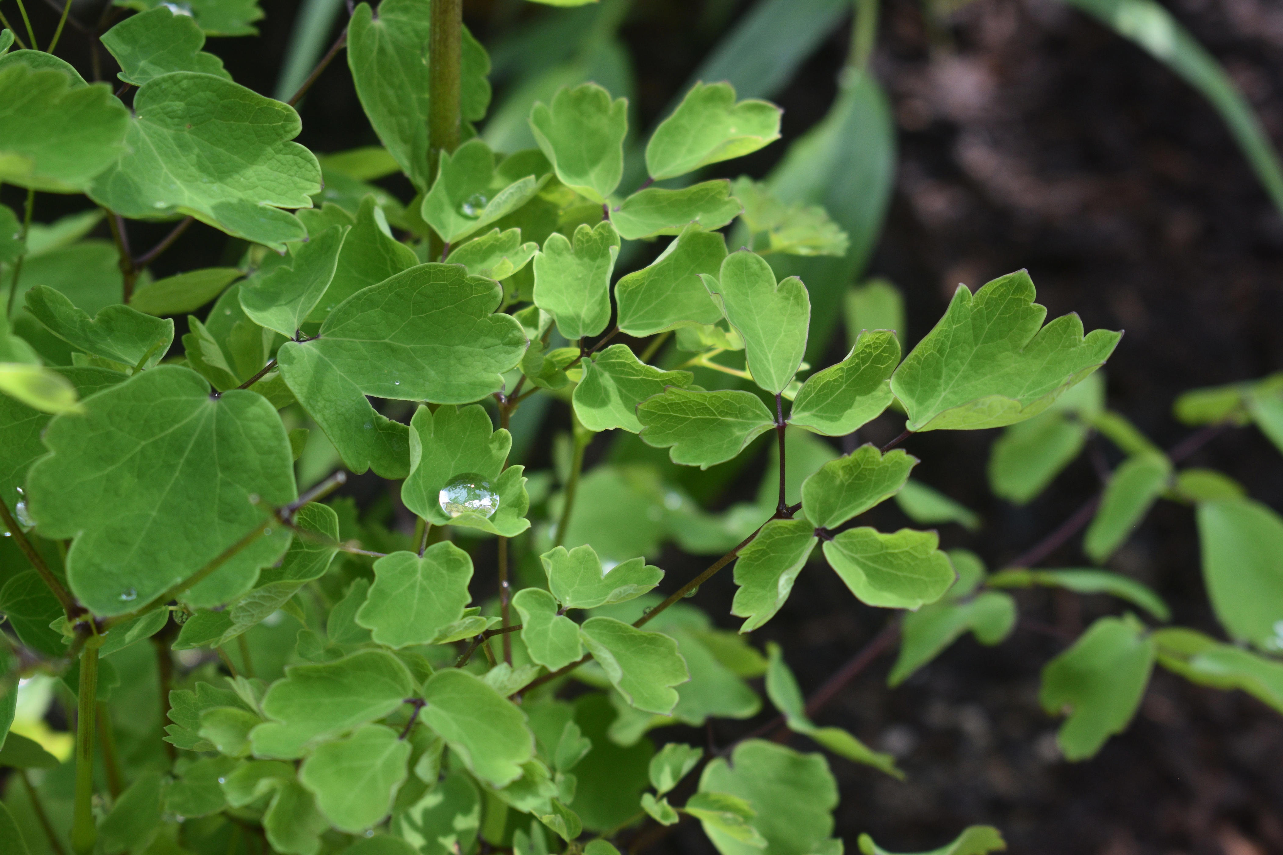 What do these common 'sustainability' terms mean?