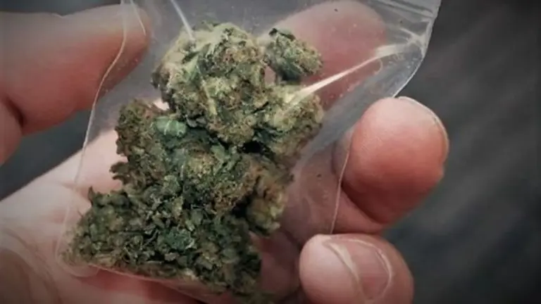 Υπόθεση κατάρρευσης 13χρονου από ναρκωτικά: Συνελήφθησαν τρεις ανήλικοι για διακίνηση κάνναβης μέσα στο σχολείο - Στο αυτόφωρο και οι γονείς τους