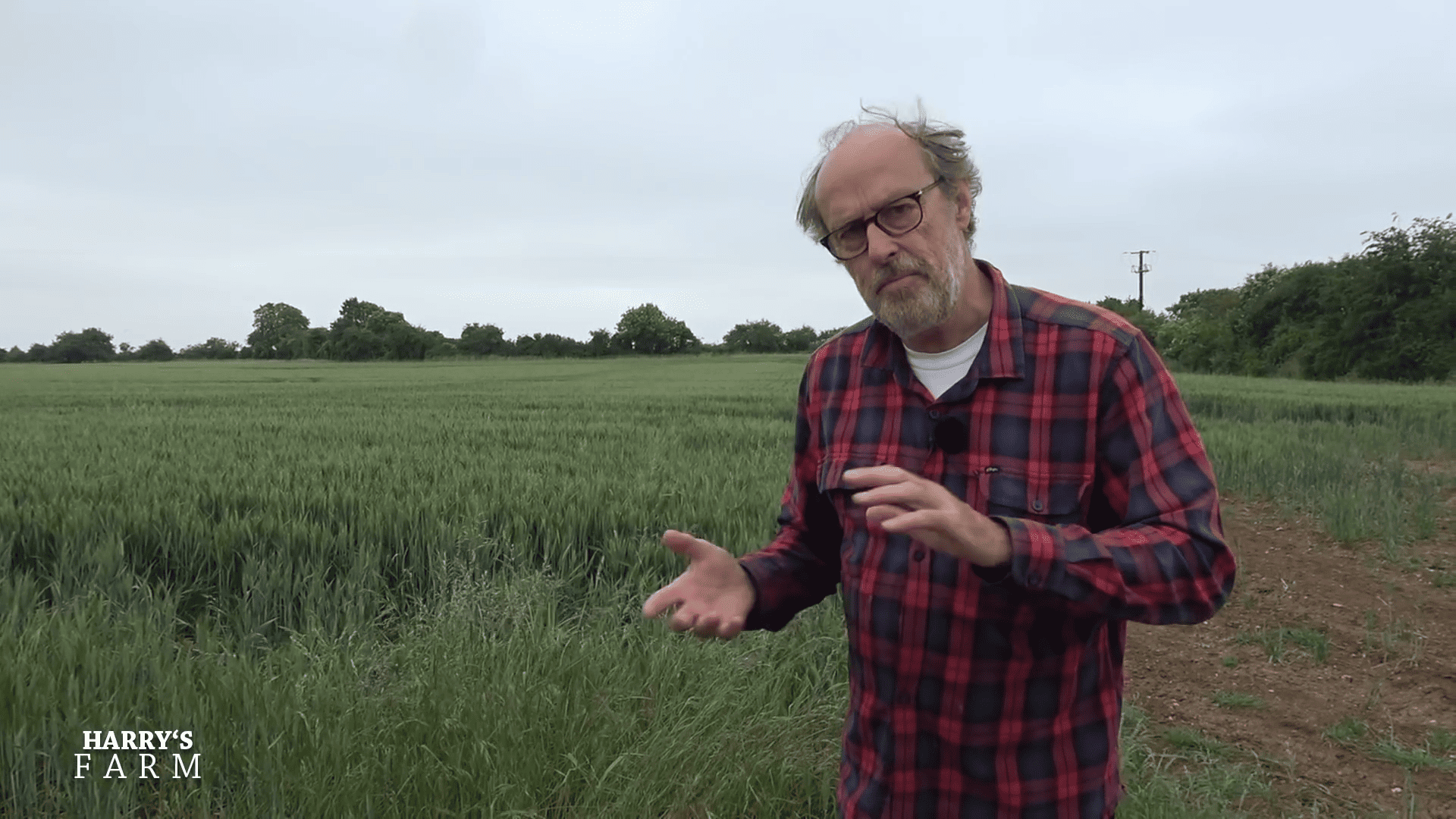 Growing Miscanthus for Power vs Food Production