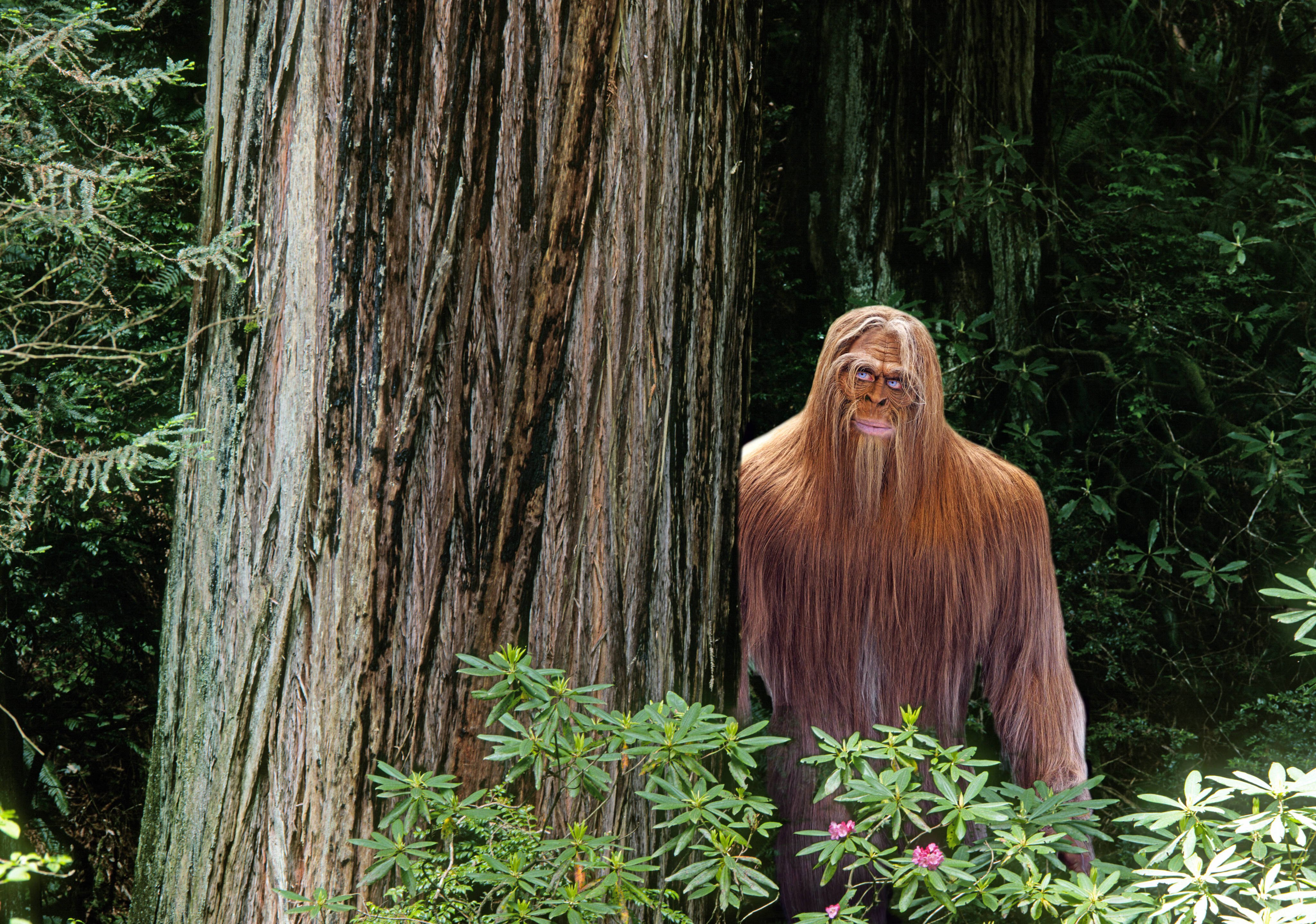 Jeff Meldrum: Remembering A Bigfoot Pioneer