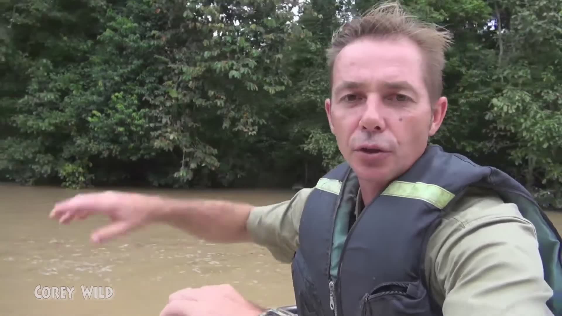 Top 10 dangerous animals in the world Creepy crawlers