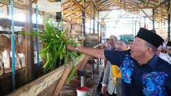 Bangkitkan Ekonomi, Syah Afandin Kembangkan Balai Ternak Baznas ke Kecamatan