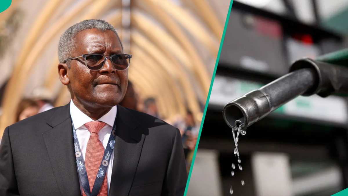 Find out more as Dangote reduces diesel price as new rate takes effect