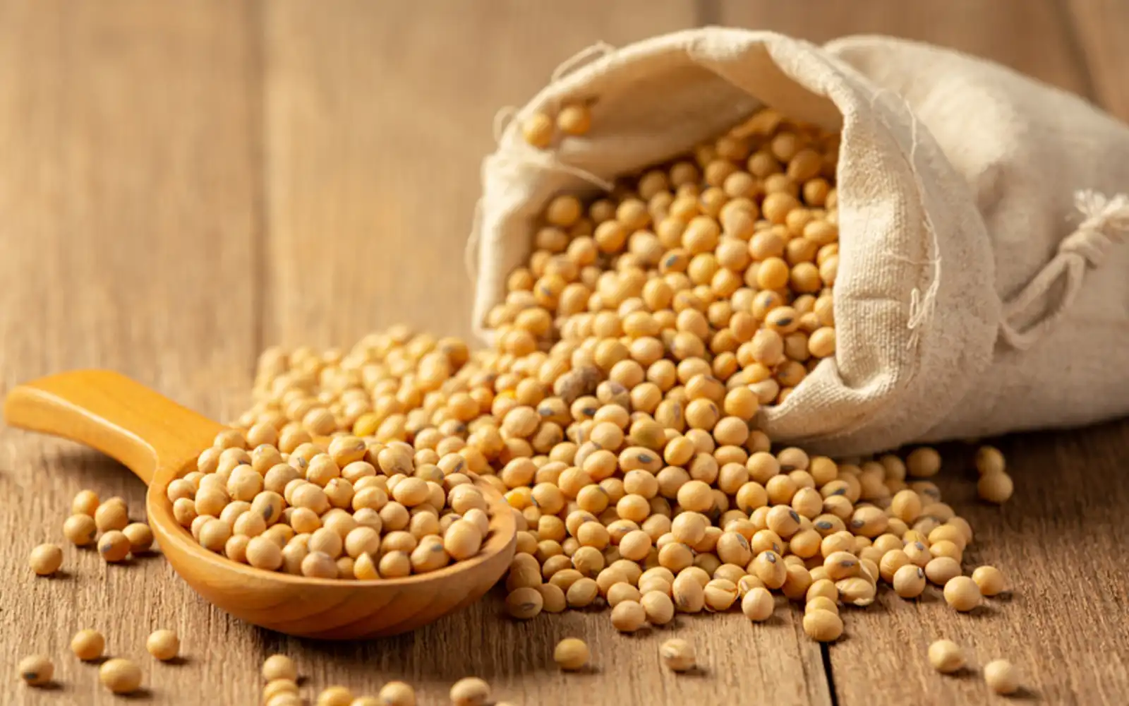 China to buy 12 million tonnes of US soybeans this season, says Bessent
