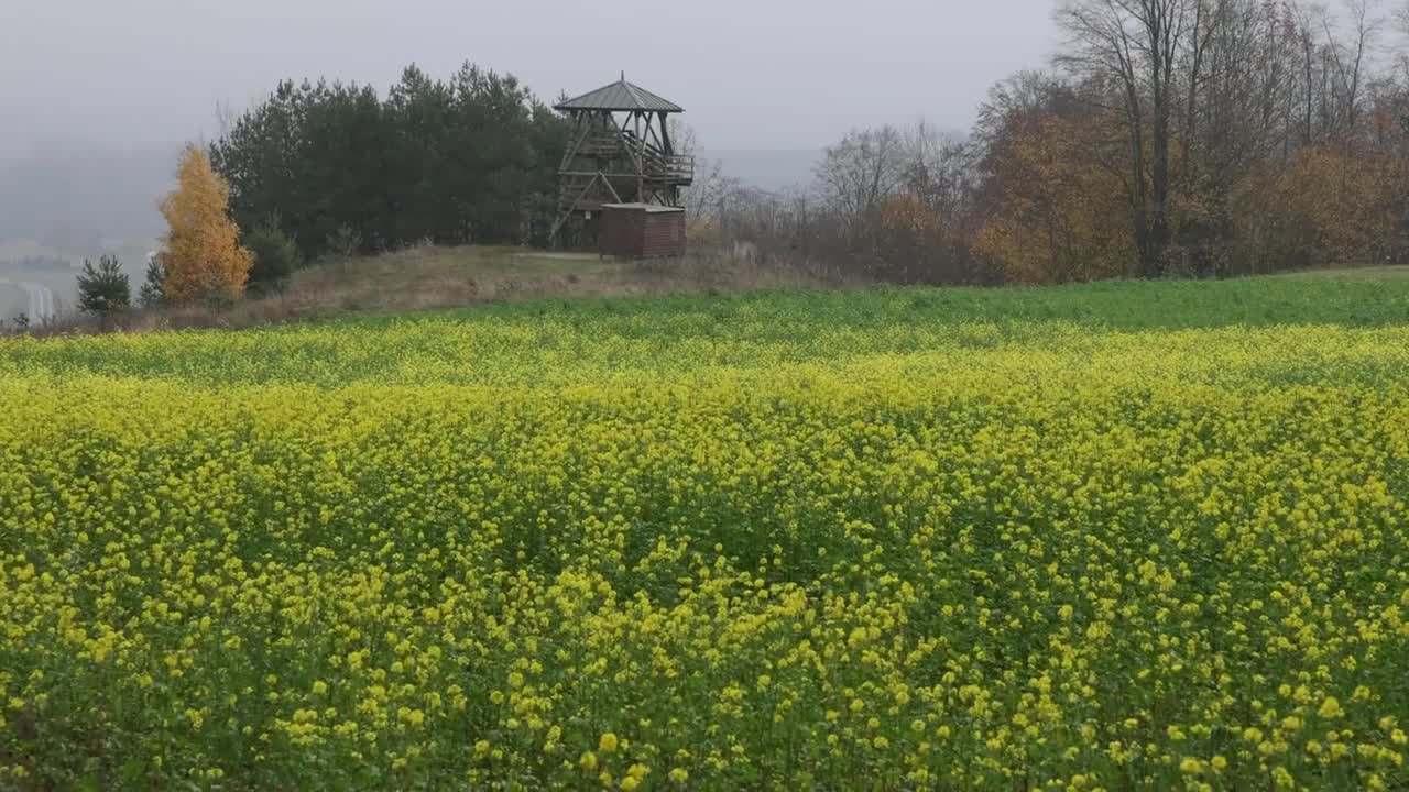 The Russian-Polish Border: Footage of Eastern Europe's Divider