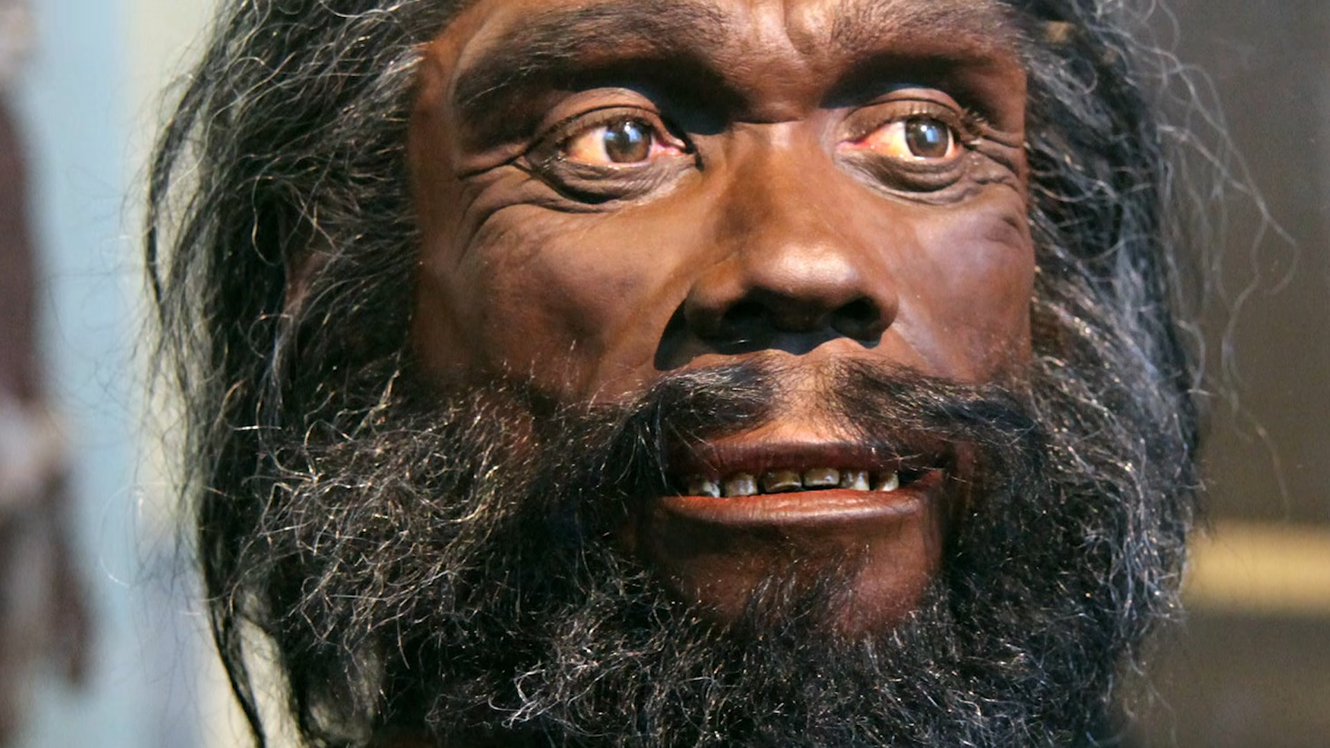 homo-heidelbergensis-the-forgotten-ancestor