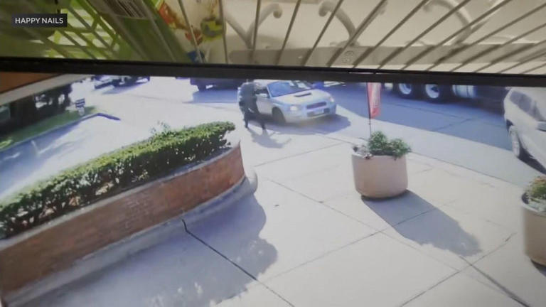 ICE agent shoots, kills man in Franklin Park, Illinois, after suspect ...