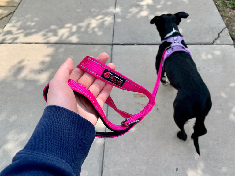 Picture of Image result for Leash with smooth operating mechanism easy