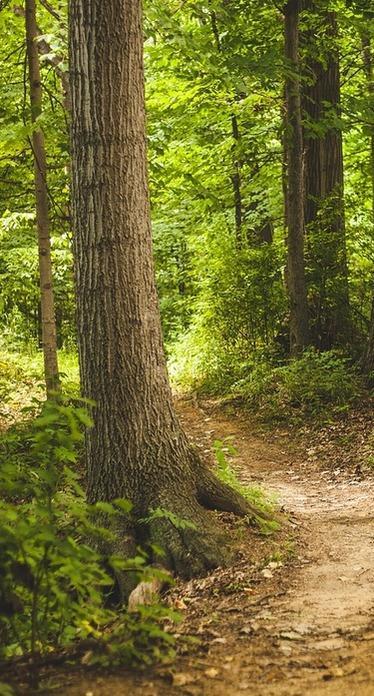 Figura A Croce 180 H-1" Zincata - ATUSA | Leroy Merlin - Foto 4