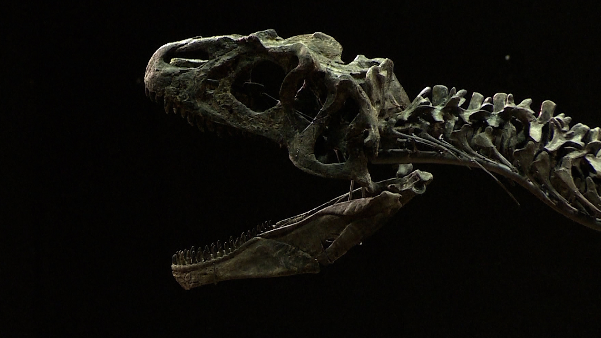 From red carpet to bone yard, skeletons in the celebrity closet