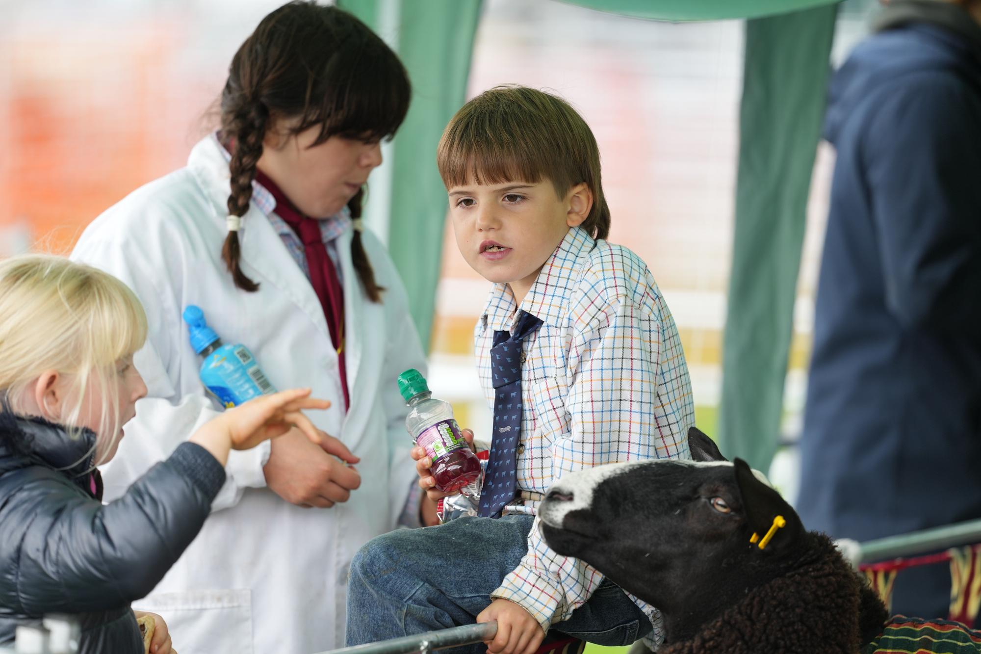 Findon Sheep Fair: Big crowds turn out for 2025 event
