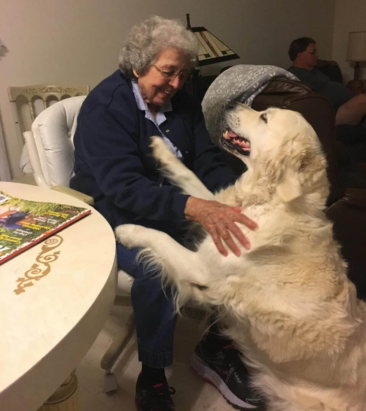 19 People Who Forgot About Their Age and Just Enjoy Life